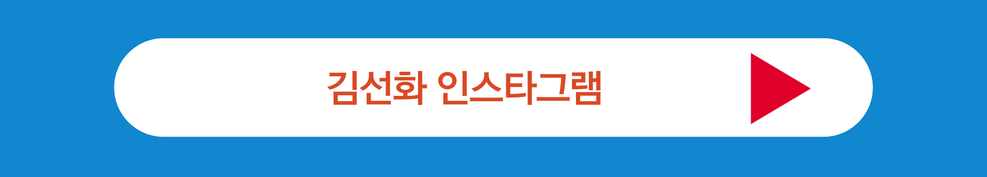 김선화 인스타
