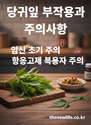 당귀잎 복용 시 부작용과 주의 사항을 안내하는 이미지