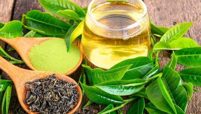 카테킨 효능 부작용 복용법 및 카테킨 많은 음식 정리