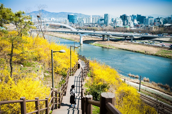 해돋이 명소