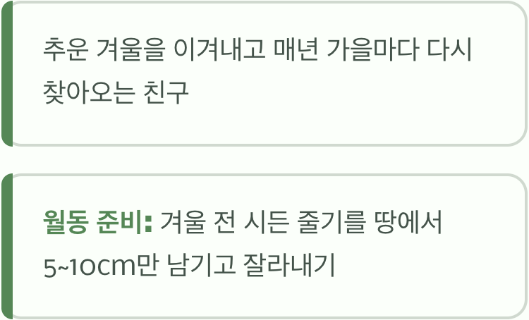 한번 심으면 영원한 친구, 여러해살이의 매력