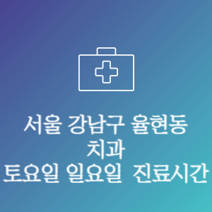 서울 강남구 율현동 치과 주말 토요일 일요일 문여는 병원 진료시간