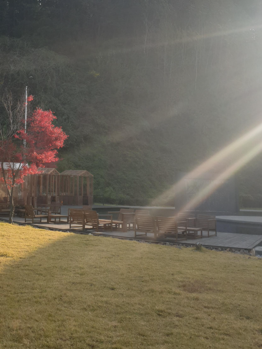 수정원 주위로 나무로 된 테이블과 의자가 보인다. 붉게 물든 단풍 나무 한 그루도 보인다.