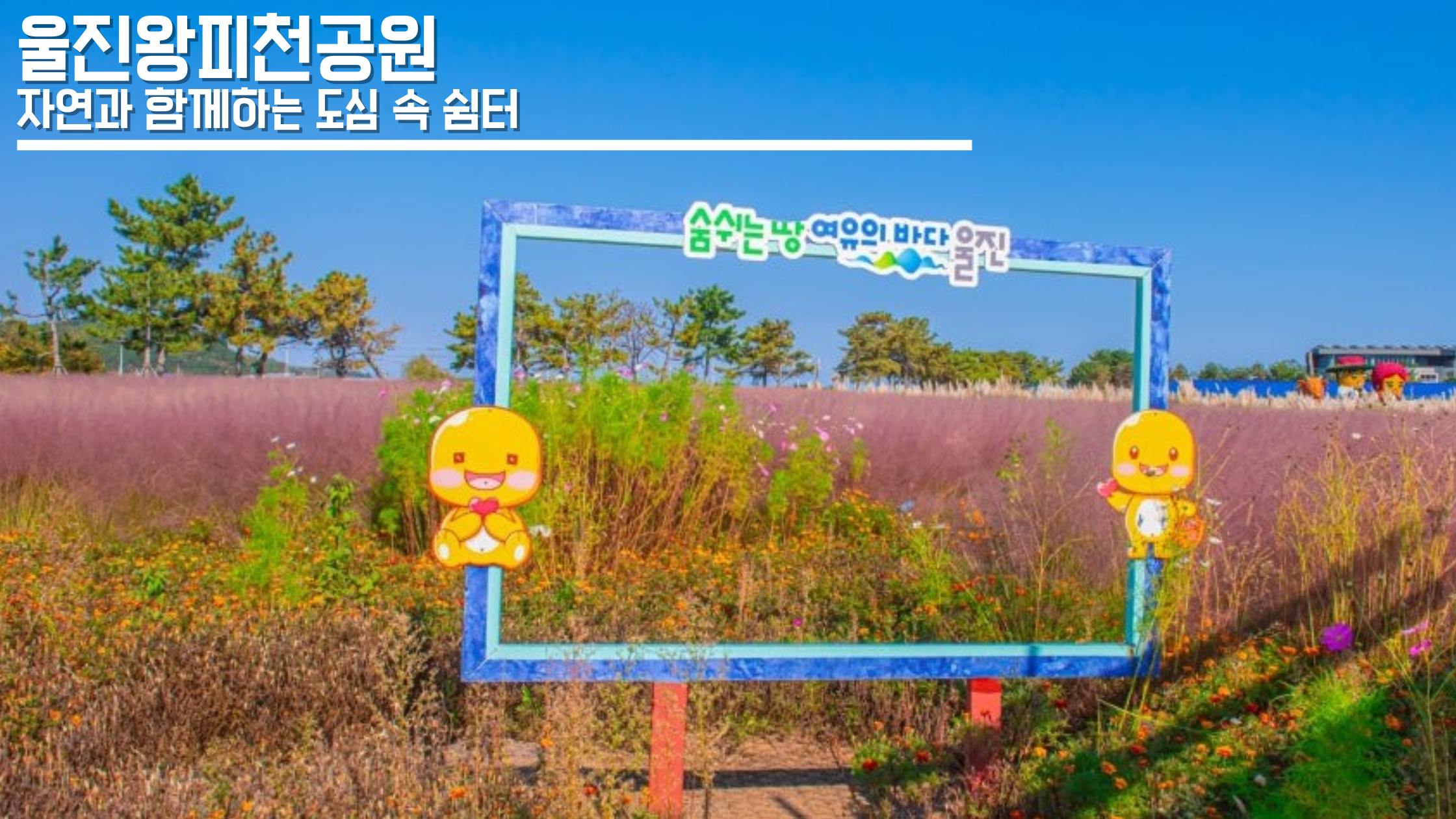 250507_12.png