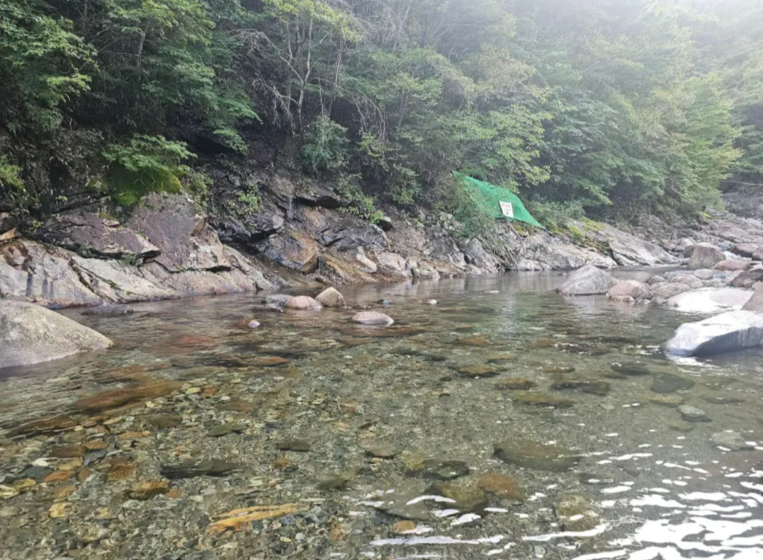 계곡 여행5