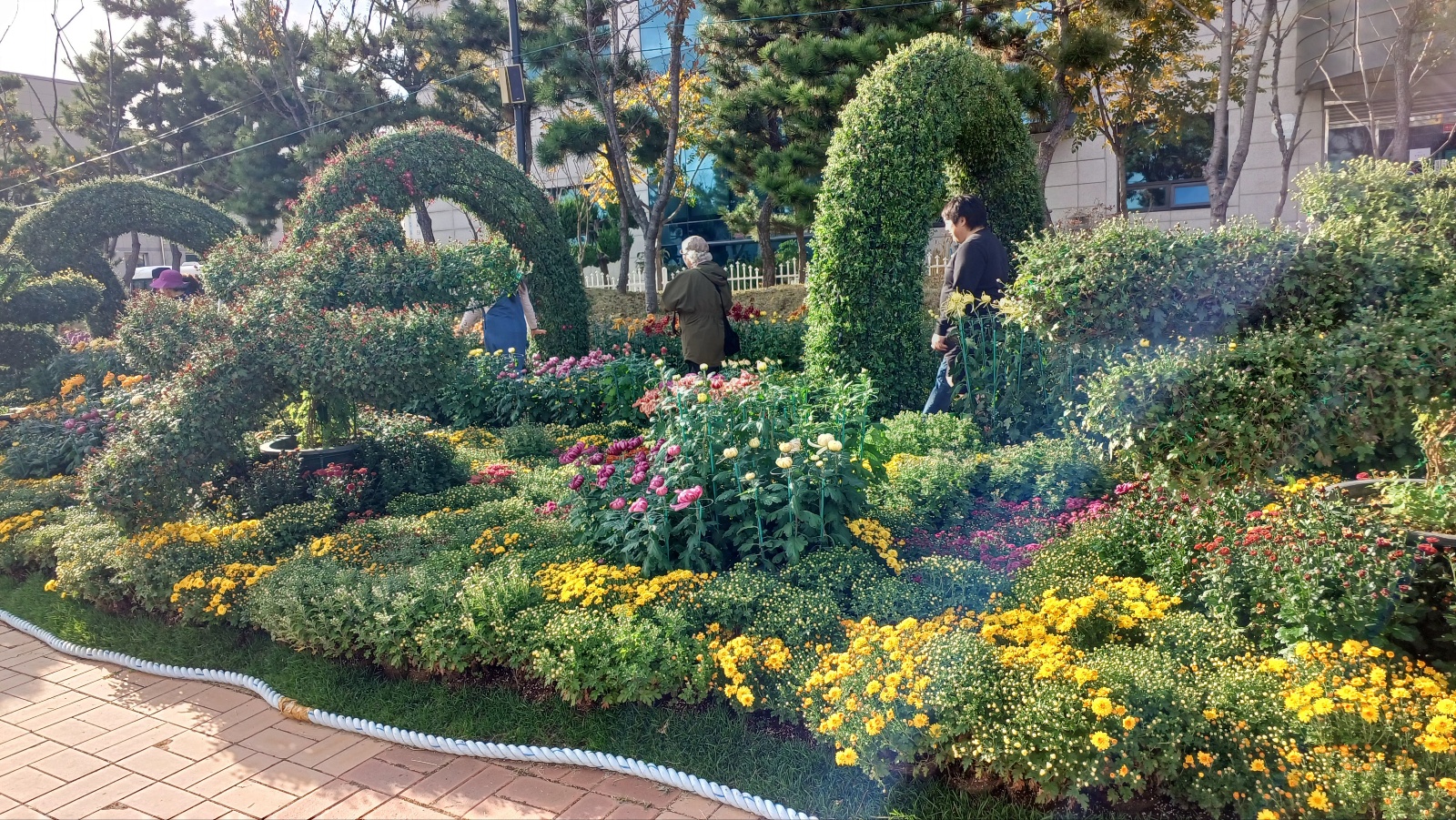 마산국화축제132