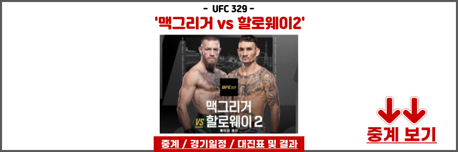 UFC 329