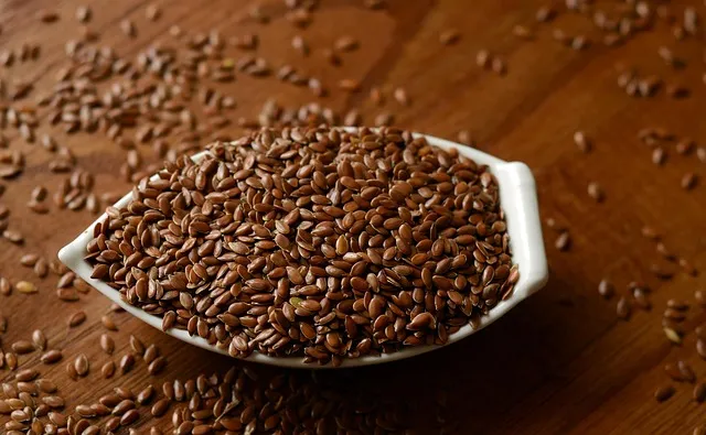 렌틸 재배 봄 파종 배수 확보 건조 수확_6