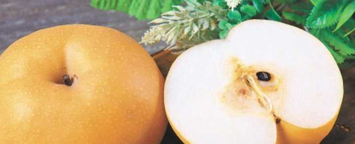 맛 있는 배 고르는법