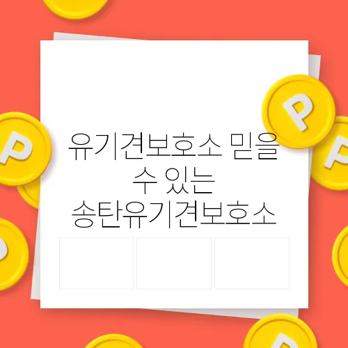 유기견보호소 믿을 수 있는 송탄유기견보호소