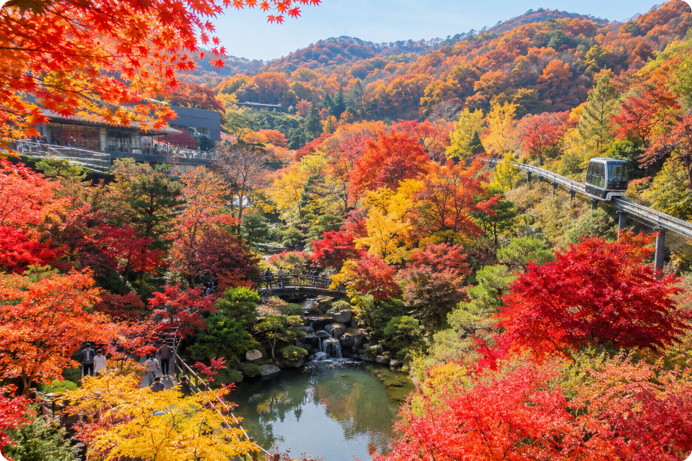 화담숲 입장권&middot;모노레일 예약하기 ai이미지