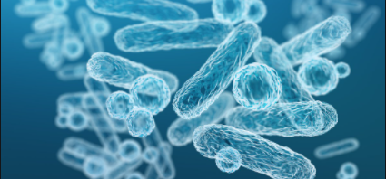 과민성 대장증후군 유산균 치료