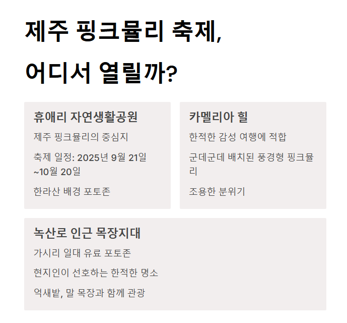 제주 핑크뮬리 축제&amp;#44; 가을 감성 느낌 100%