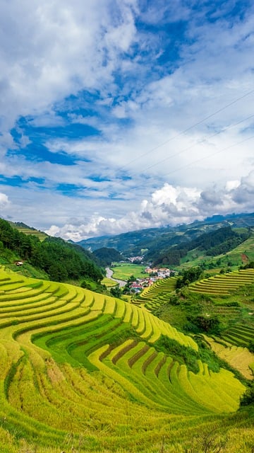 농업인 경영지원금 받는 방법