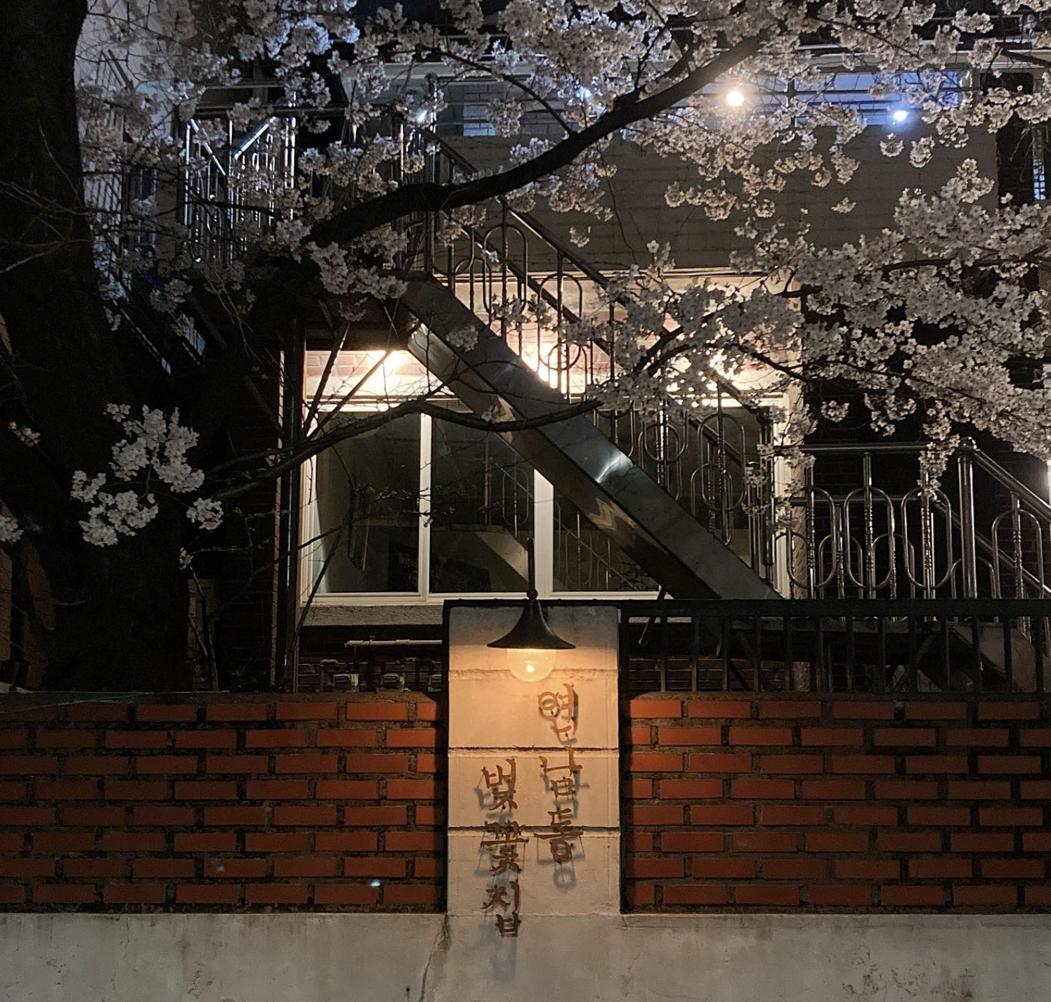 연남동 벚꽃집