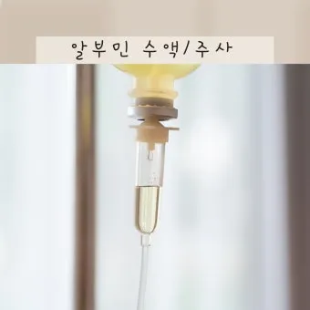 알부민 수액 알부민 링거 가격까지 한번에 정리로_13