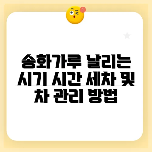 송화가루 날리는 시기 시간 세차 및 차 관리 방법