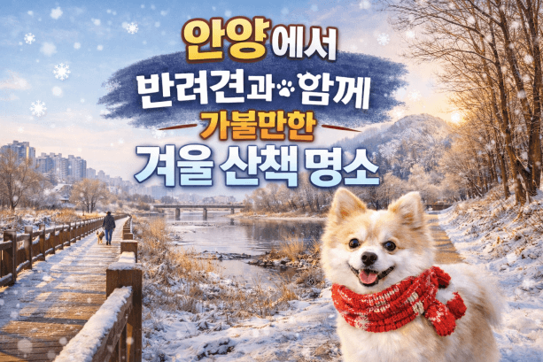 안양·군포 반려견 산책 어디가 좋을까? 겨울에도 걷기 좋은 명소 추천
