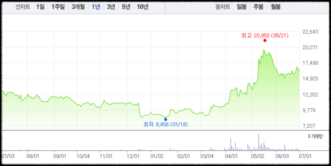 1년간 주가흐름