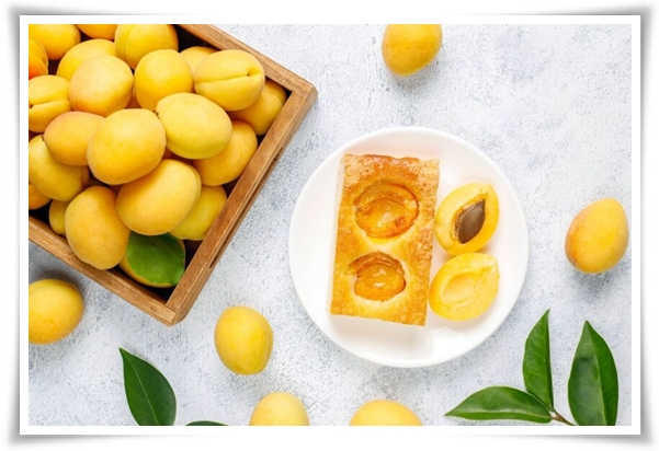 텃밭 "6월, 매실 수확하세요!" 초록빛 활력의 싱그러운 여름의 맛 매실!