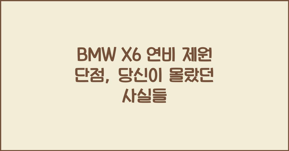BMW X6 연비 제원 단점