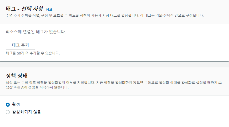 수명 주기 관리자