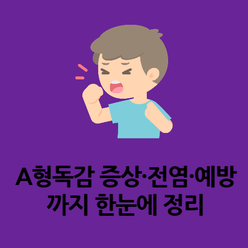 A형독감 증상&middot;전염&middot;예방까지 한눈에 정리