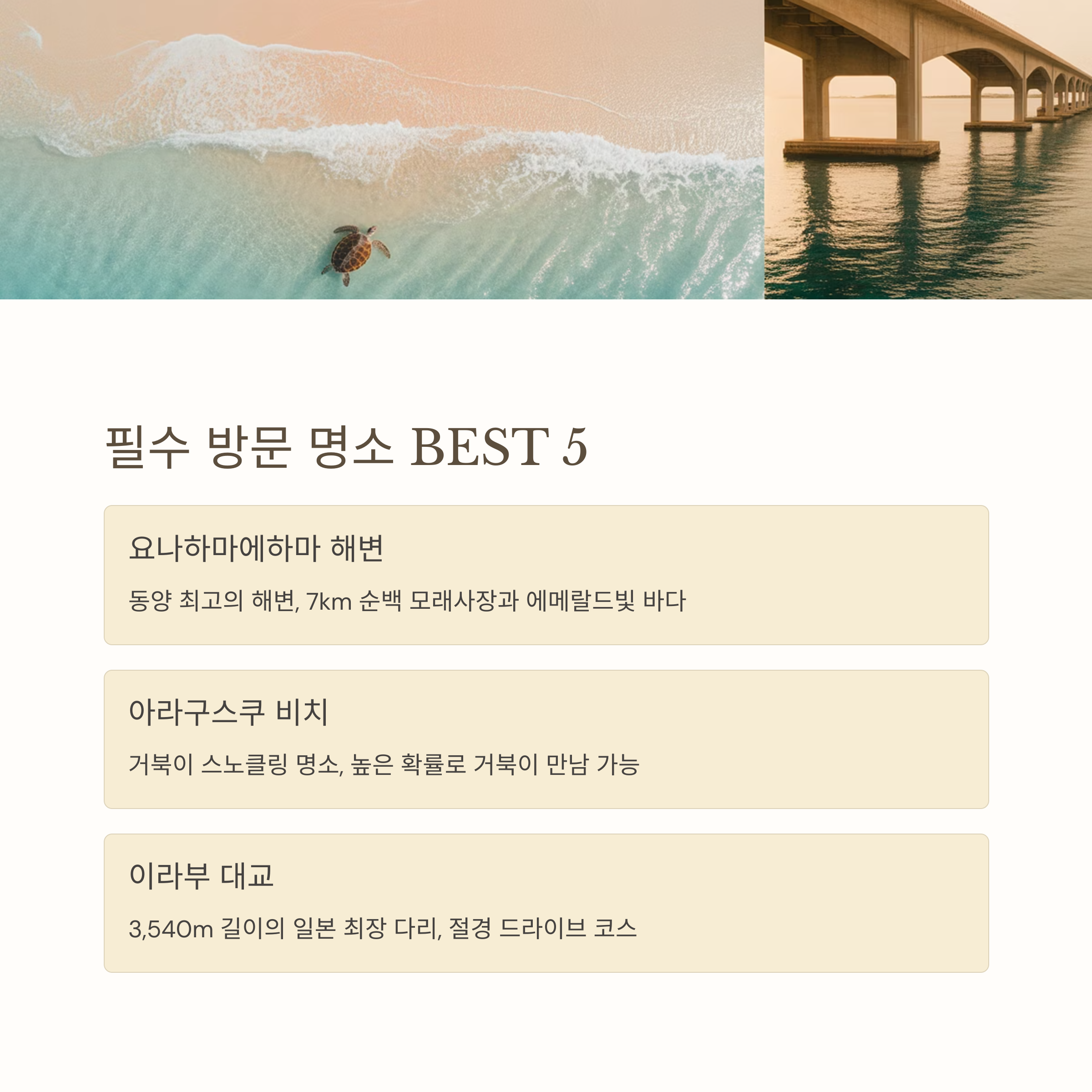 2025년 미야코지마 여행