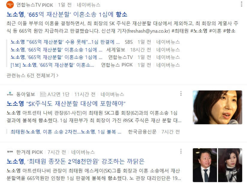 노소영 항소 기사들 올라온 사이트 화면