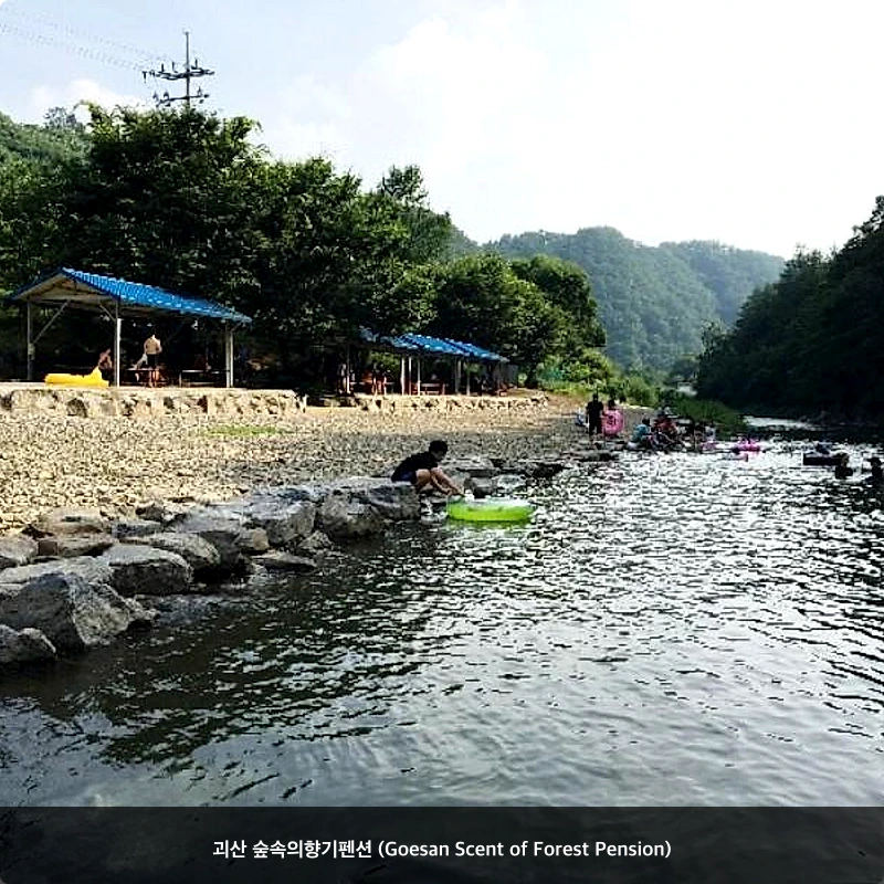 괴산 숲속의향기펜션 (Goesan Scent of Forest Pension)_7