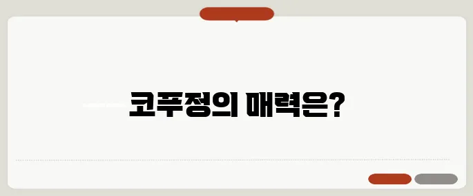 코푸정 추천 핵심만 담았어요
