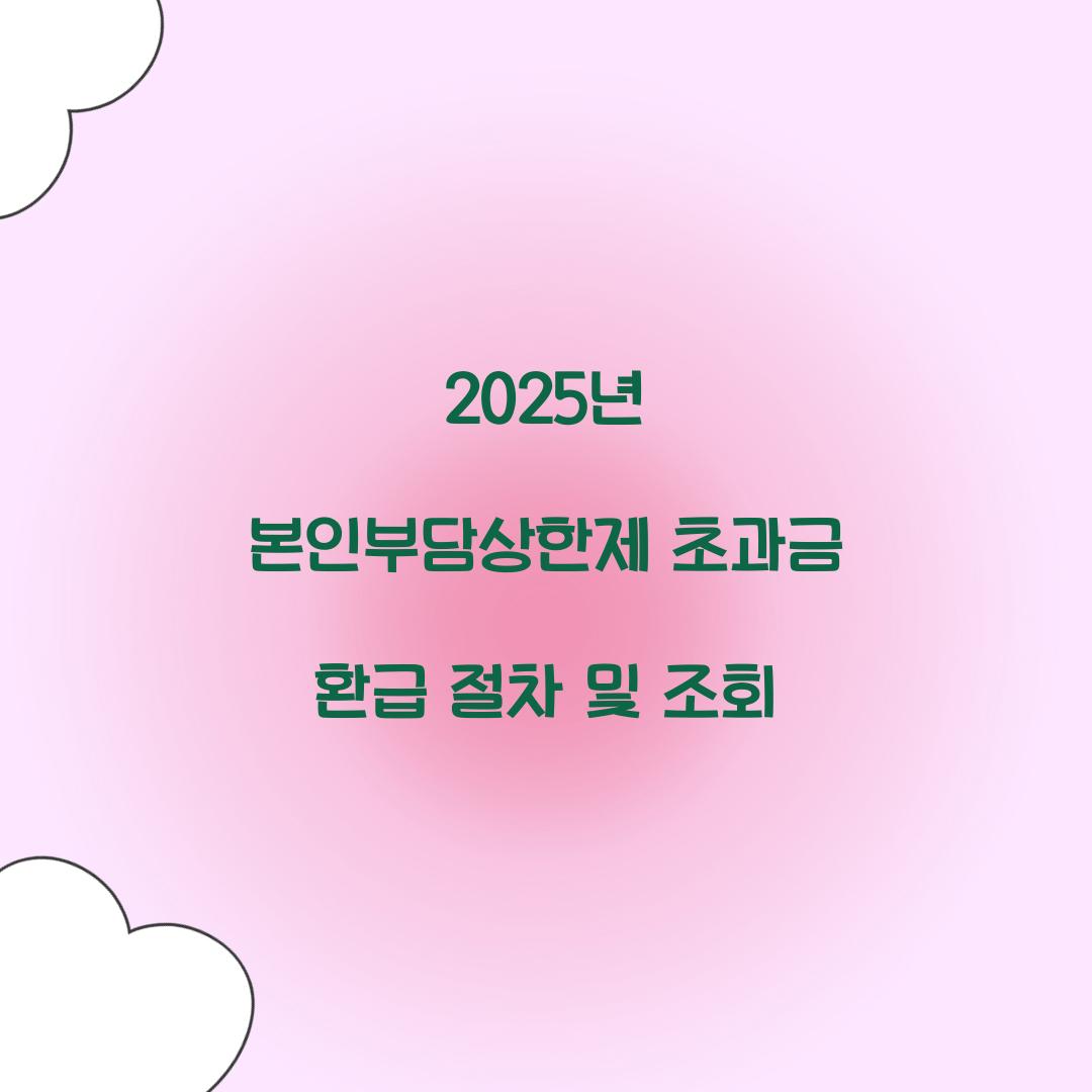 2025년 본인부담상한제 초과금 환급