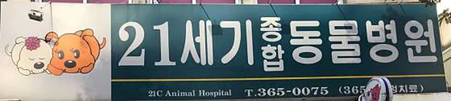 21세기동물병원