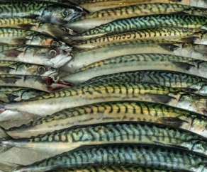 고지혈증에 좋은 음식 영양제 식단