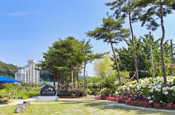 공주 수국축제 유구 색동 수국 정원_7