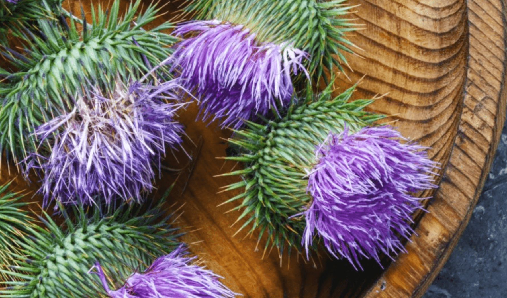 밀크시슬 복용시간