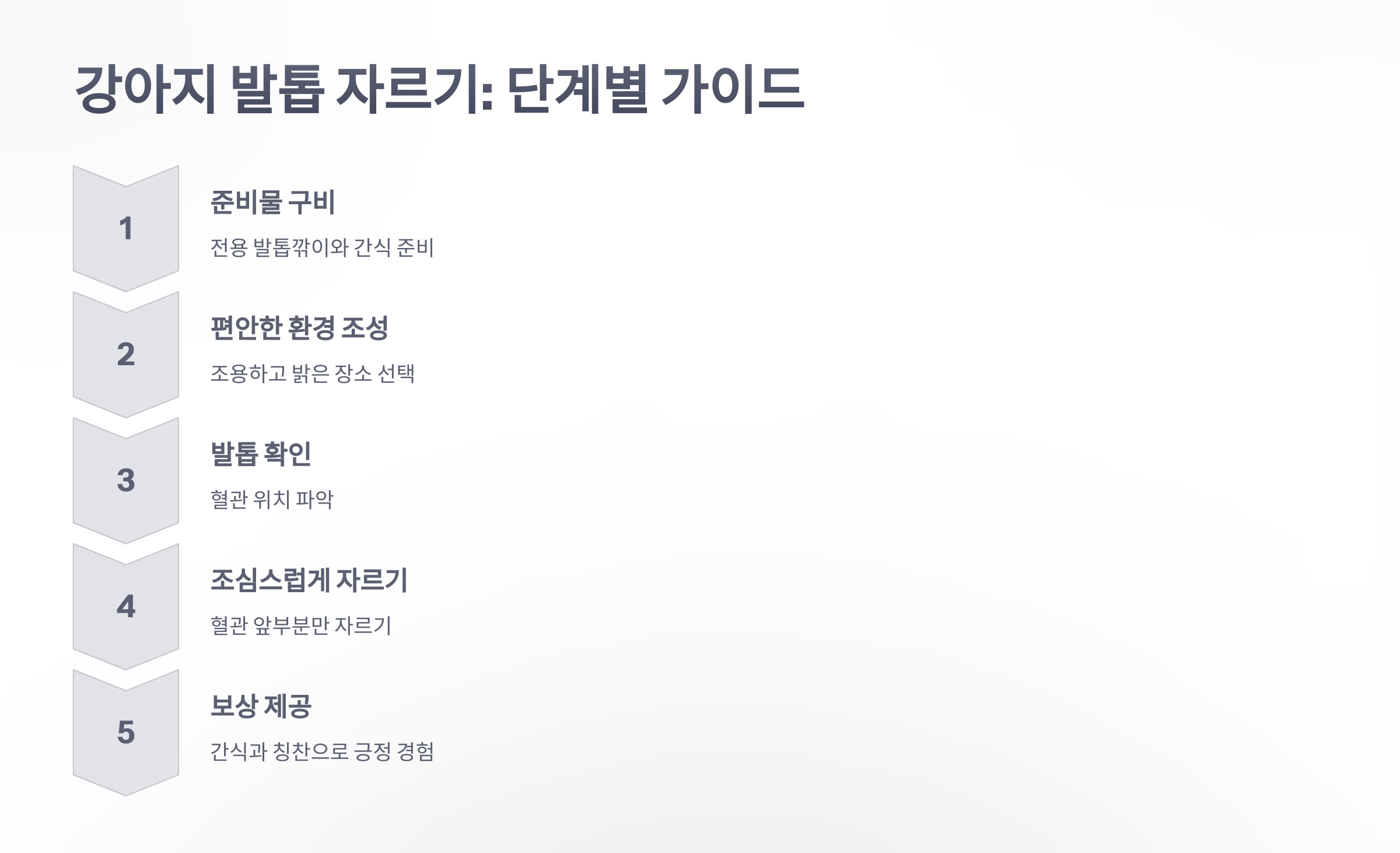 참조-반려동물,-발톱-자를때-유의사항-3