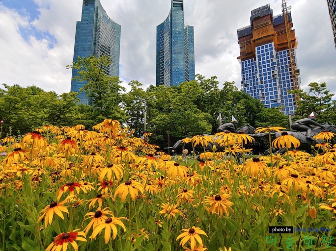 서울숲 해바라기 밭에서 건물을 올려다본 전경