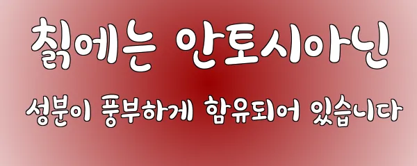  칡에는 안토시아닌 성분이 풍부하게 함유되어 있습니다