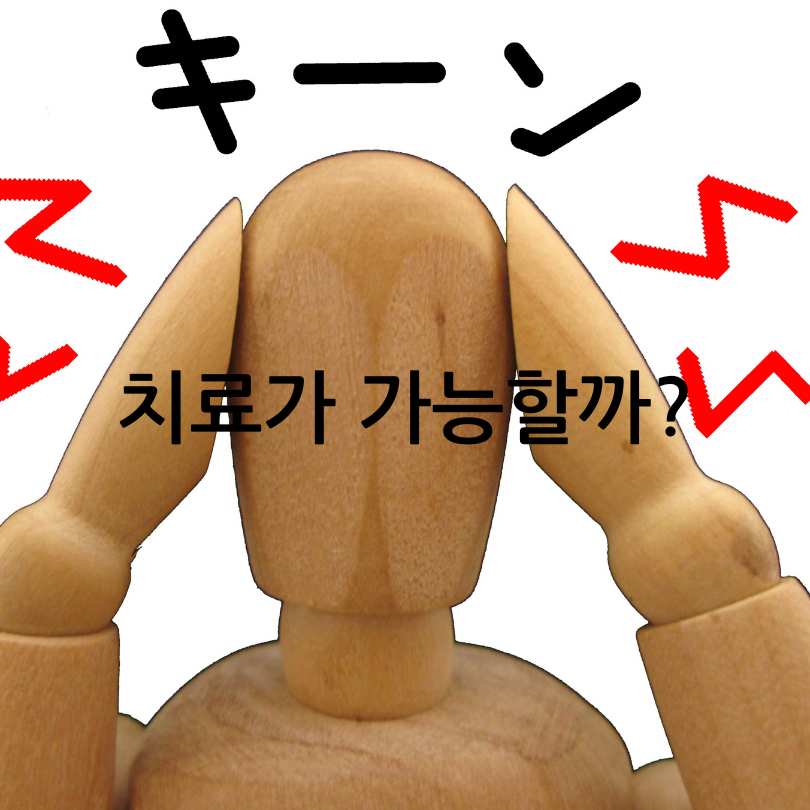 이명 원인,증상,치료방법, 해결책