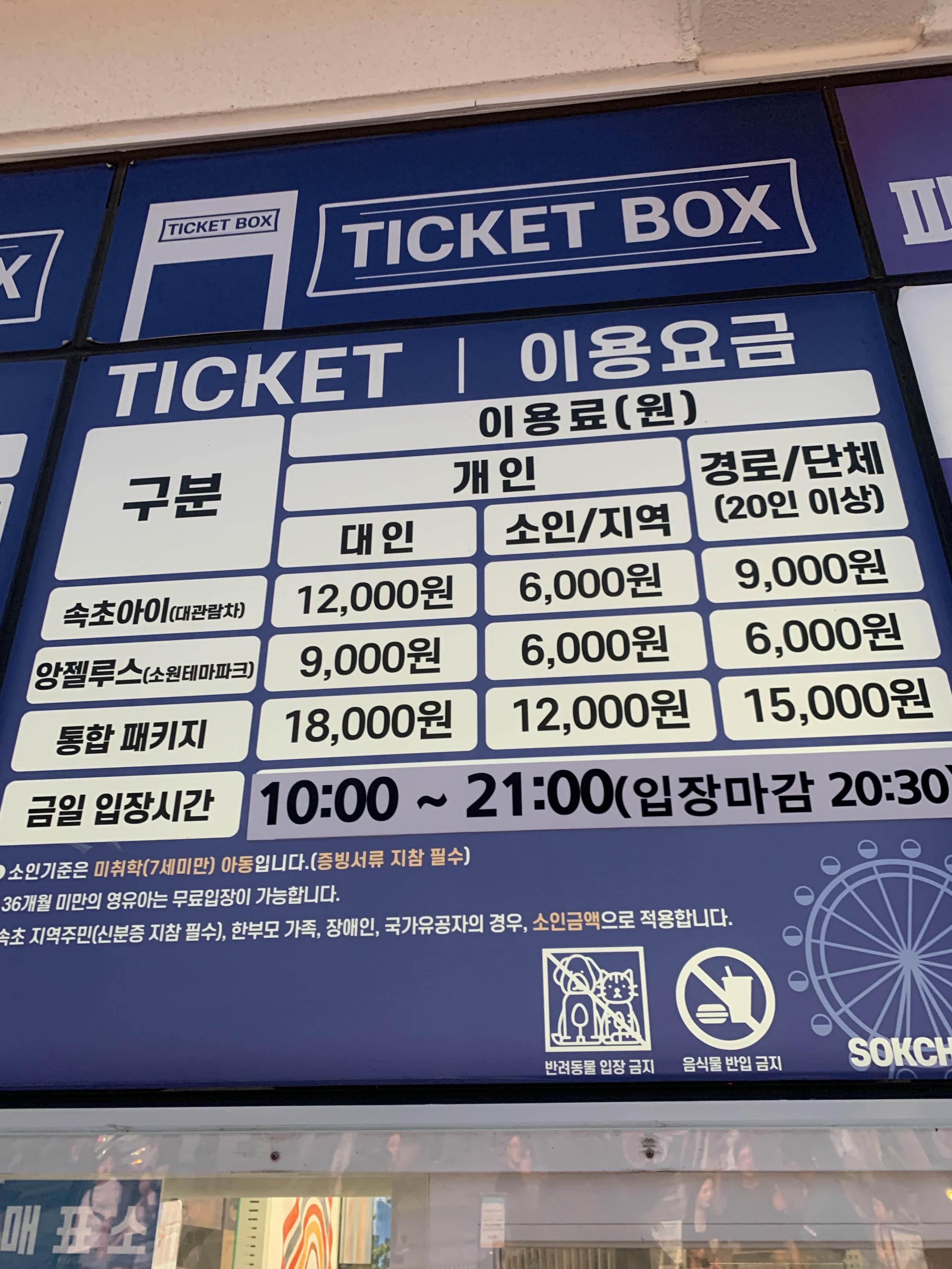 속초아이 가격