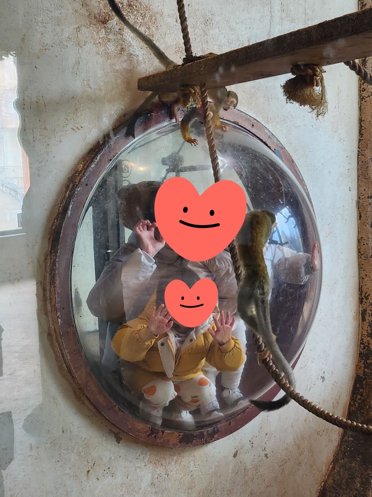 다람쥐 원숭이를 구경하는 가족