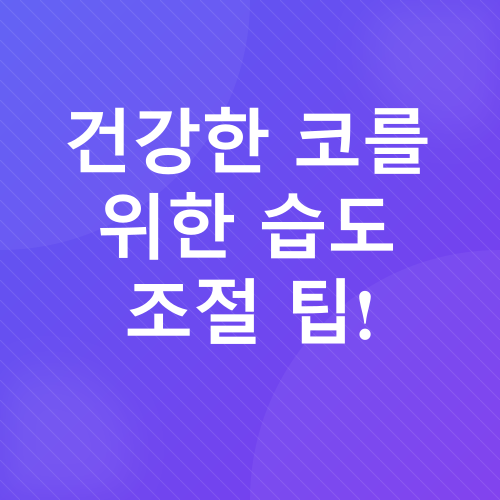 콧속건조_3
