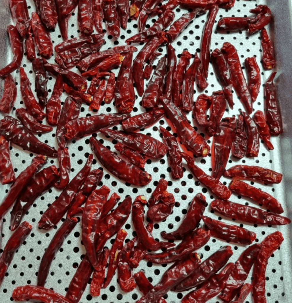 고추건조기 사용