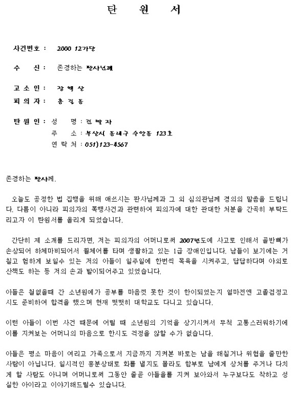 탄원서 기본 구조 예시