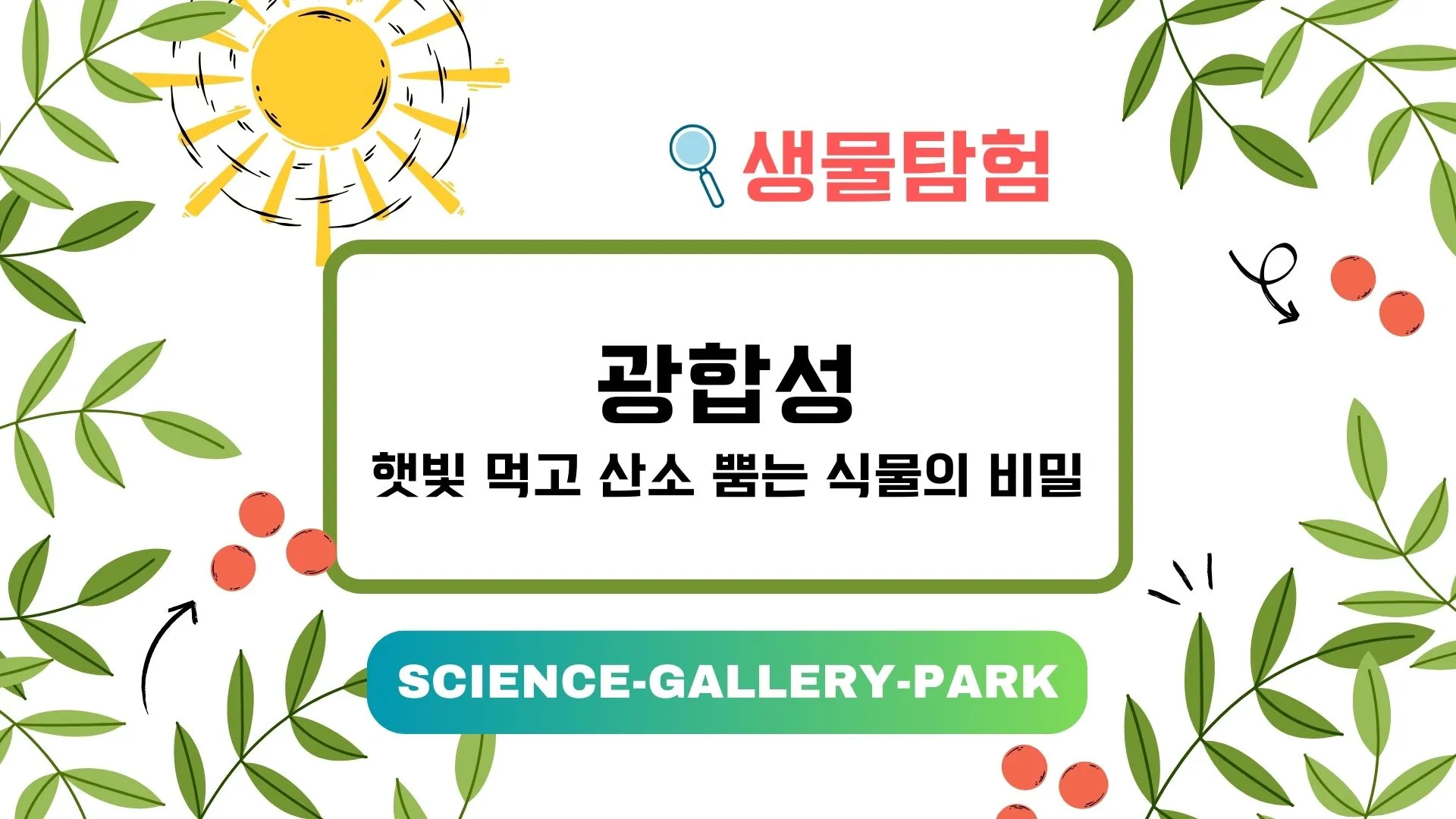 햇빛 먹고 산소 뿜는 식물의 비밀을 설명합니다.