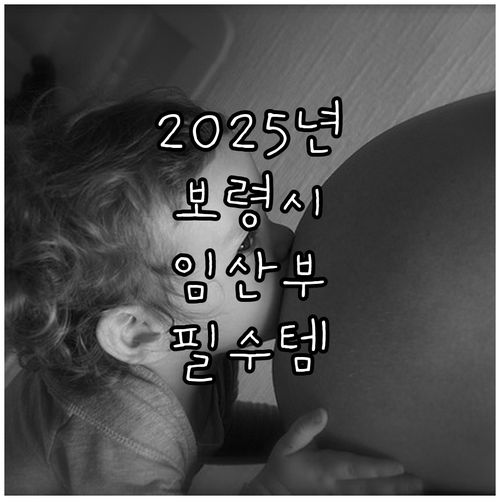 2025 보령시 임산부 지원: 출산용..