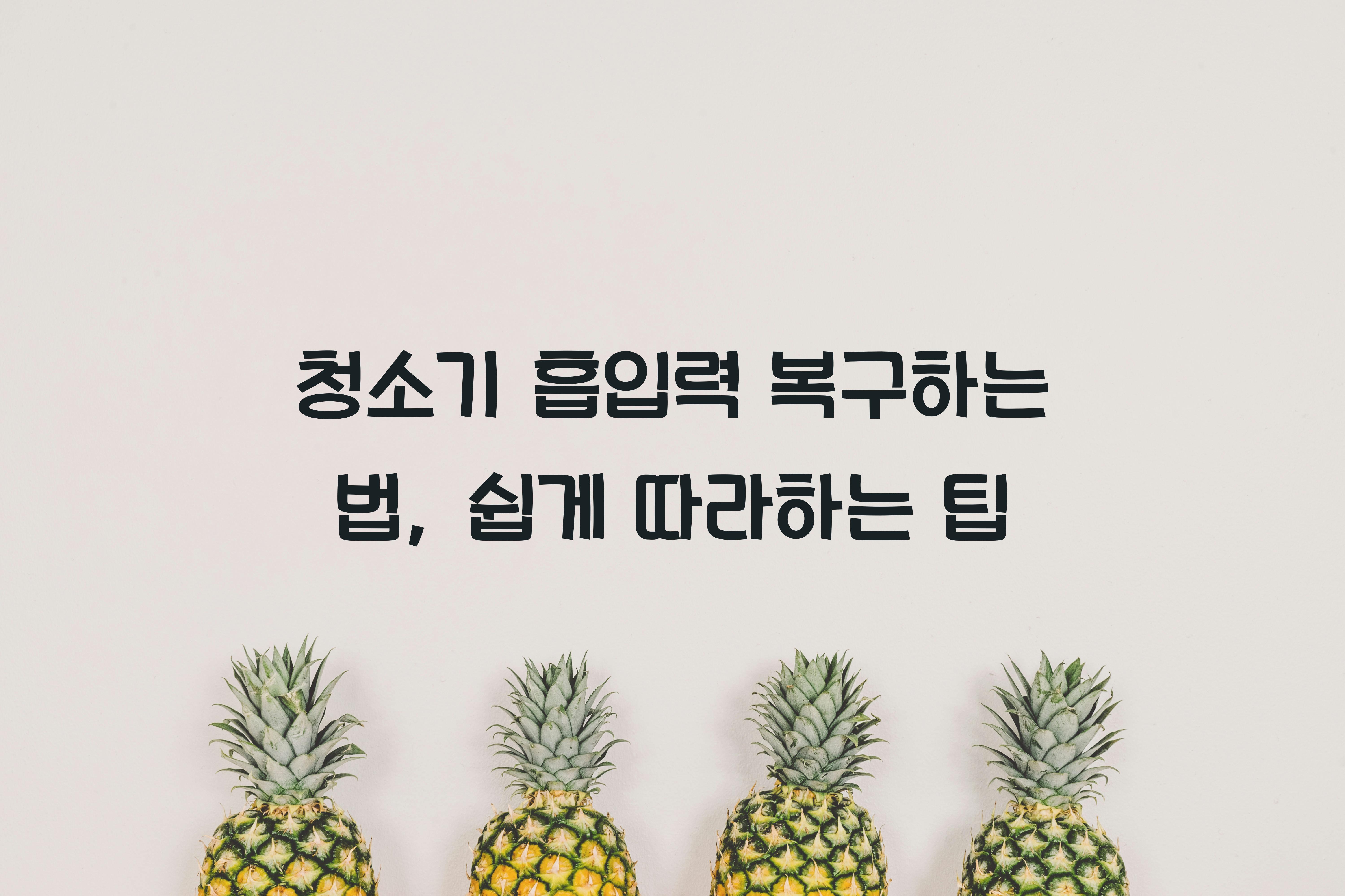 청소기 흡입력 복구하는 법