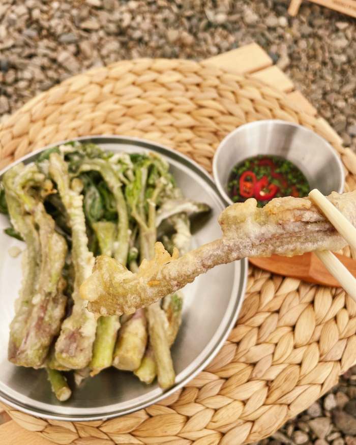 생생정보 신비의 대물 약초 독활 땅두릅