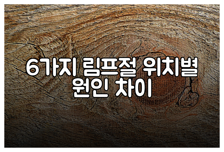 6가지 림프절 위치별 원인 차이